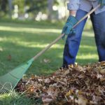 râteau à feuilles